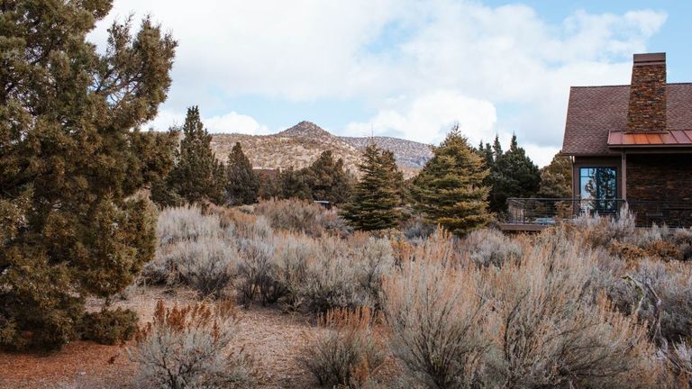 Brasada_Sage Canyon Cabins 